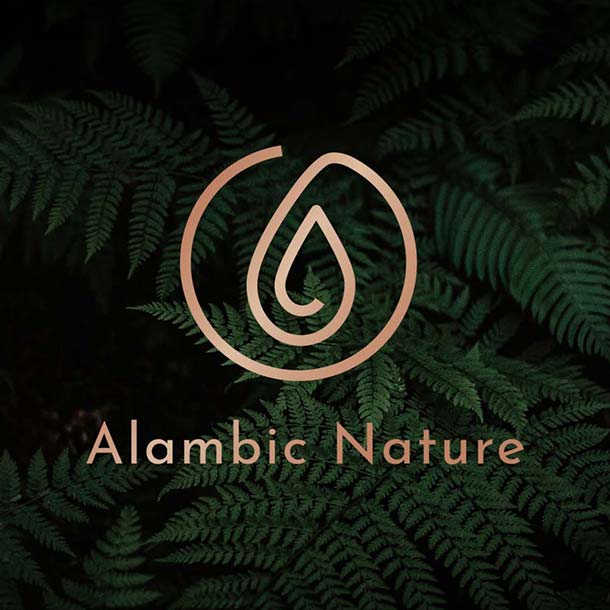 image miniature du logo d'Alambic Nature, naturopathe à Toulouse