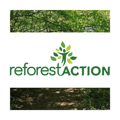 photo d'une forêt avec le logo de Reforest'Action
