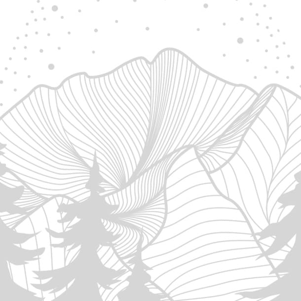 aperçu d'un élément graphique de l'identité visuelle de la brasserie 2831 représentant le pic d'Arbizon - graphiste Toulouse